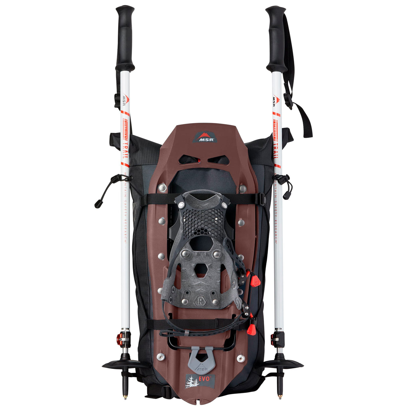 Schneeschuhe MSR Shoe and Poles Kit